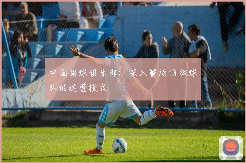 中国排球俱乐部:深入解读顶级球队的运营模式