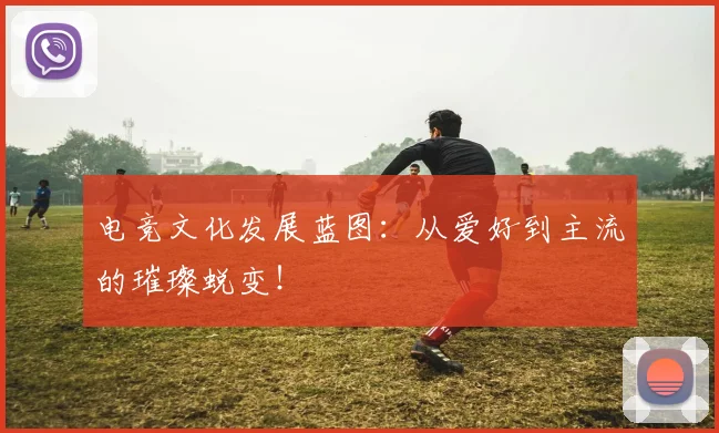 电竞文化发展蓝图:从爱好到主流的璀璨蜕变!