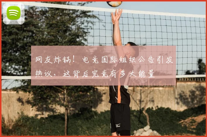 网友炸锅！电竞国际组织公告引发热议，这背后究竟有多大能量